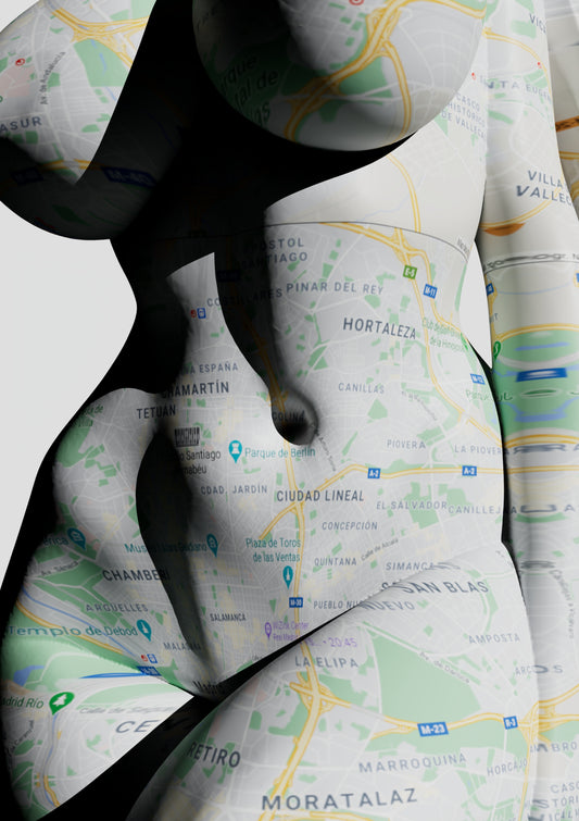 Google Maps Series unique print