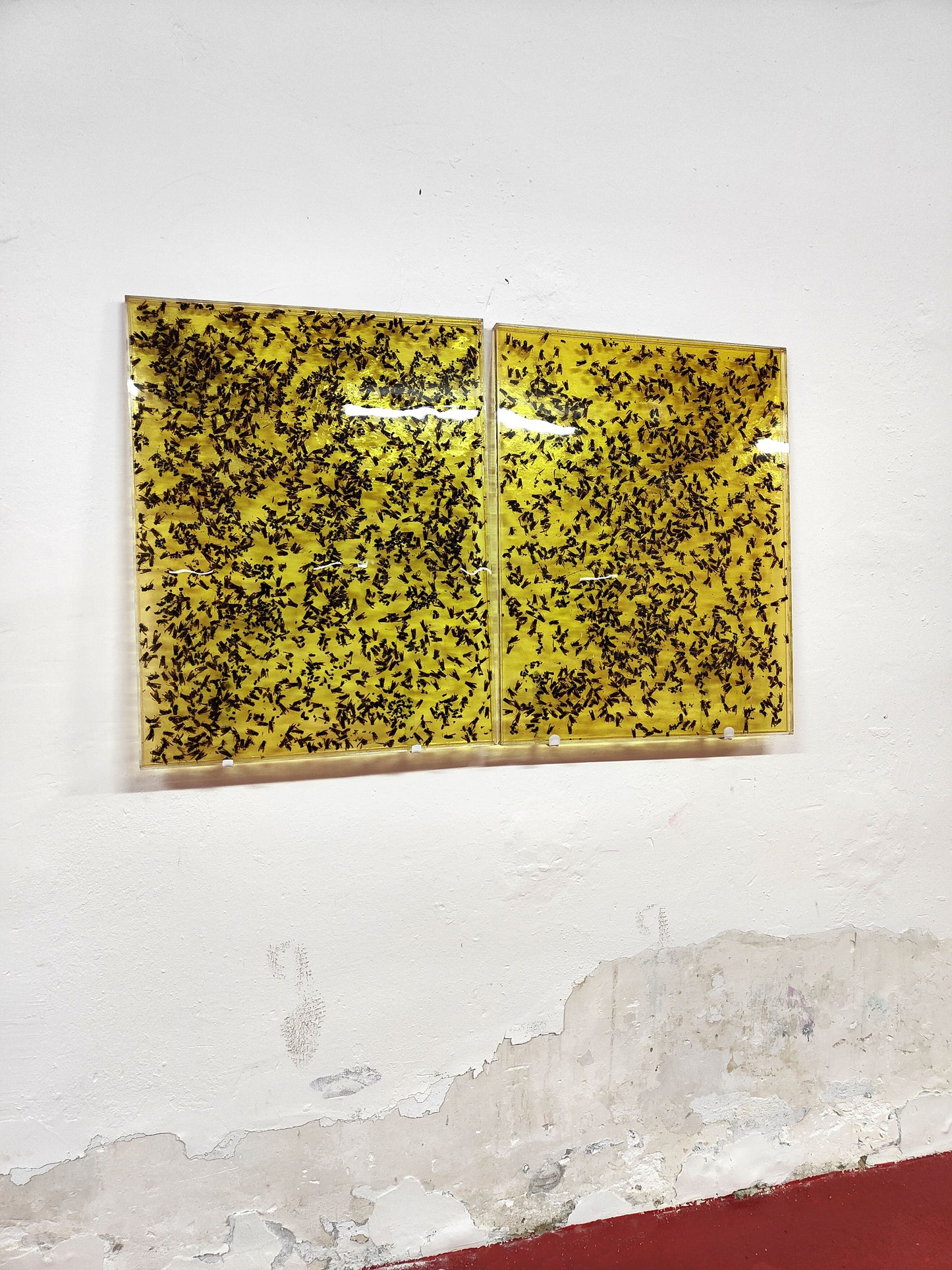 「イエスの誕生」