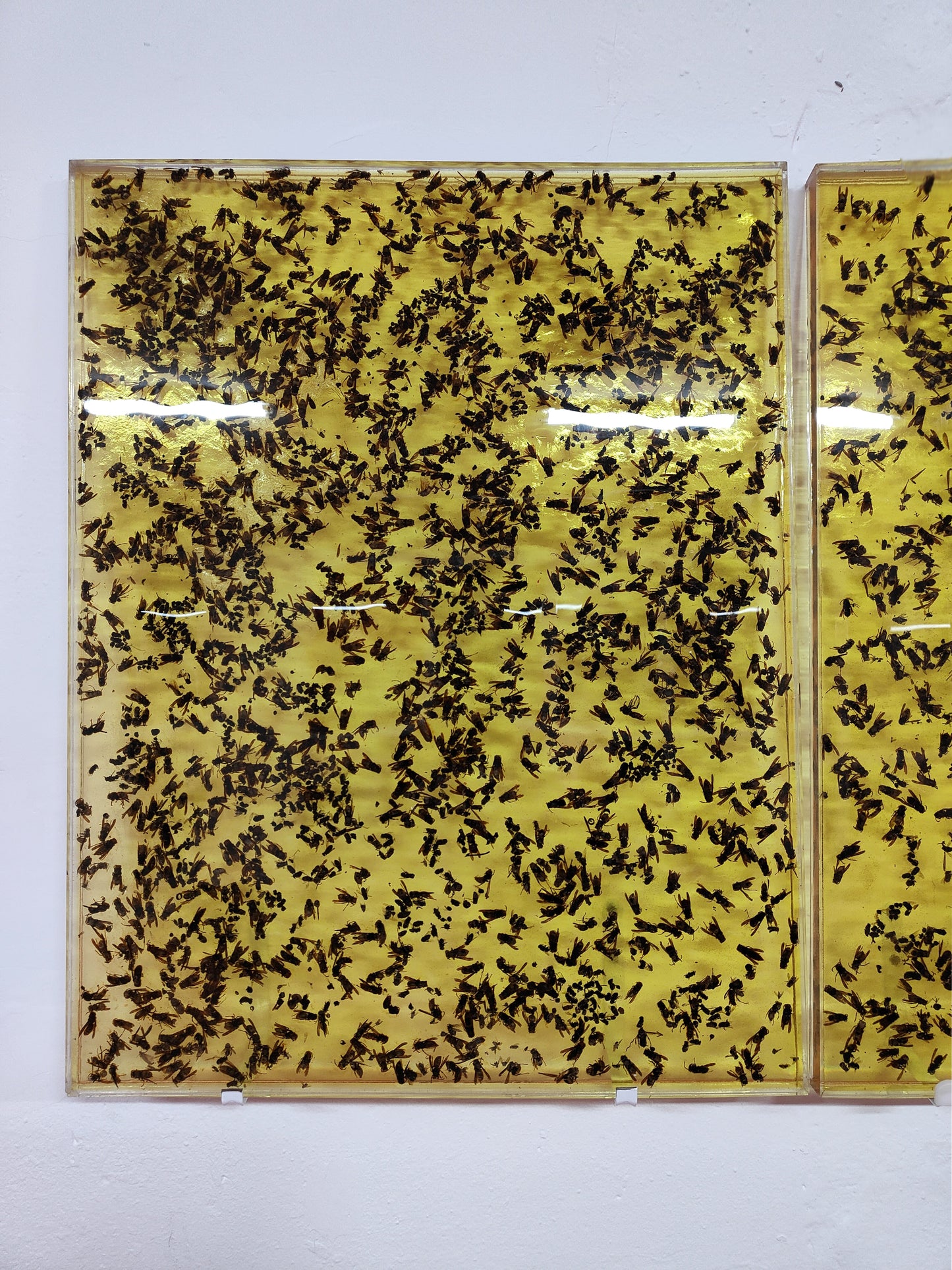 「イエスの誕生」