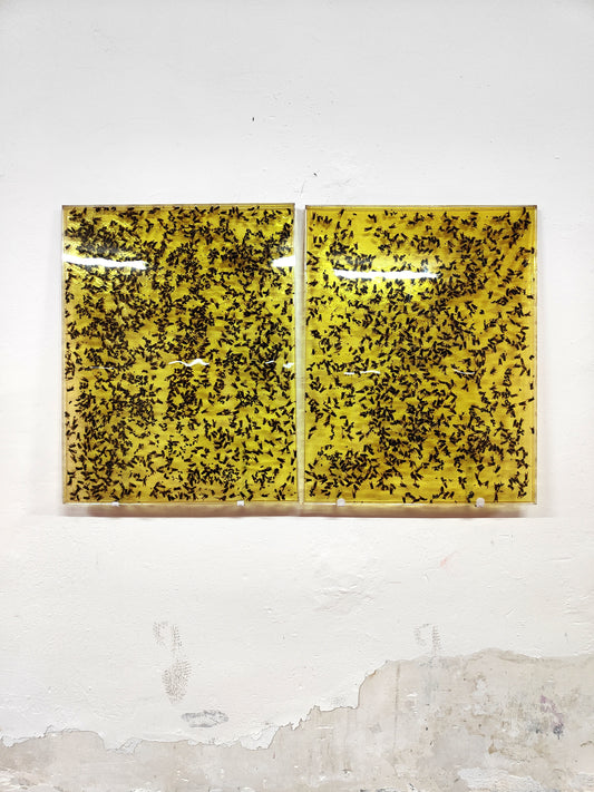 「イエスの誕生」