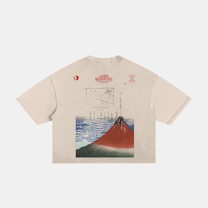 CLASSIC FRAYED BOXY TEE - APRICOT